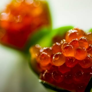 Salmon Roe
