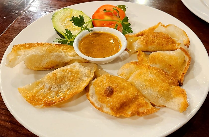 23. Malaysian Curried Chicken Potstickers (6).